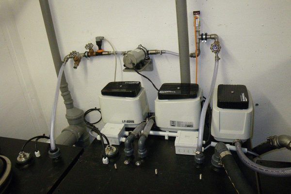 Pumpen einer Abwasserhebeanlage